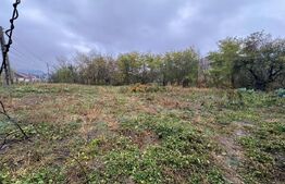 Casă de vânzare, 112 mp, zona Exterior Sud - Viile Tecii