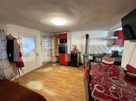 Casa de vânzare 4 camere Viile Tecii - 209469CV | BLITZ Bistriţa | Poza5