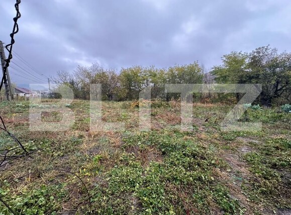 Casa de vânzare 4 camere Viile Tecii - 209469CV | BLITZ Bistriţa | Poza10