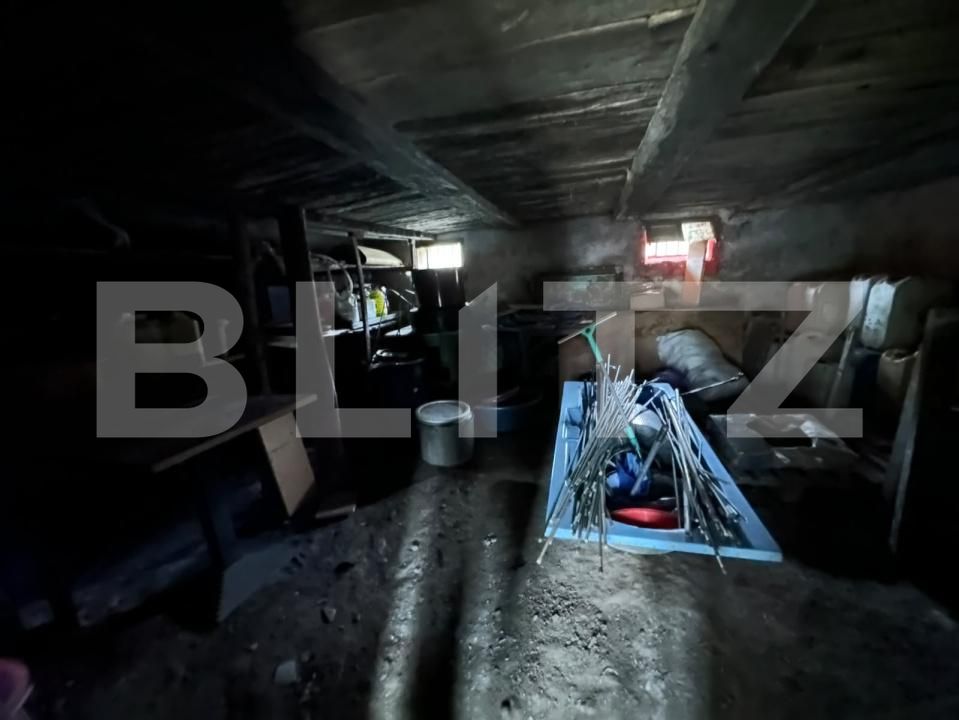 Casa de vânzare 4 camere Viile Tecii - 209469CV | BLITZ Bistriţa | Poza12