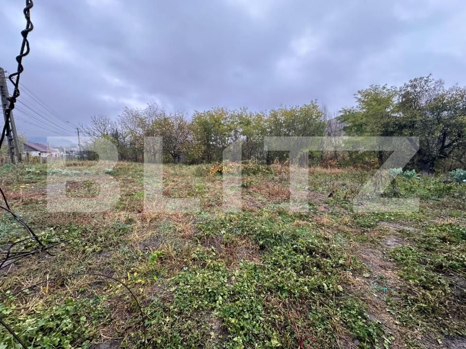 Casa de vânzare 4 camere Viile Tecii - 209469CV | BLITZ Bistriţa | Poza10