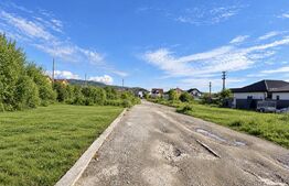 Teren intravilan de 1.660 mp – potențial pentru dezvoltare imobiliară