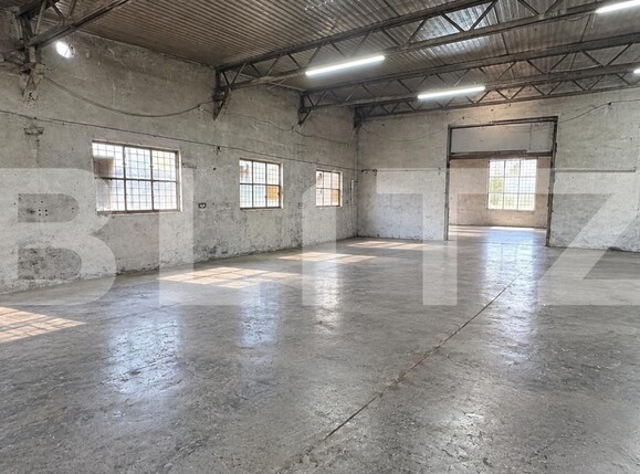 Spațiu industrial de închiriat Sud - 209643SII | BLITZ Bistriţa | Poza5