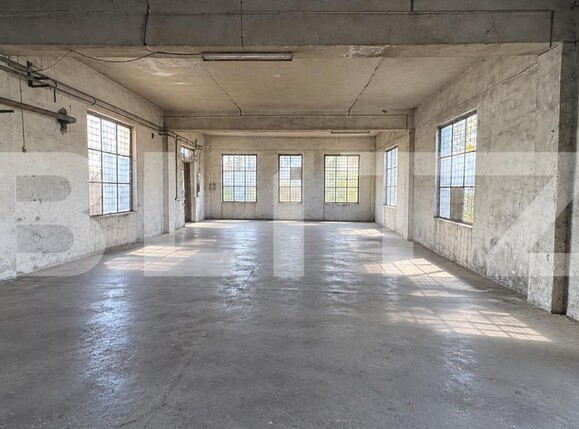 Spațiu industrial de închiriat Sud - 209643SII | BLITZ Bistriţa | Poza2