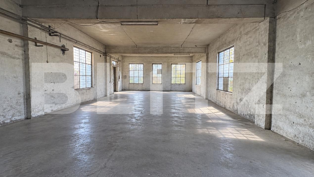 Spațiu industrial de închiriat Sud - 209643SII | BLITZ Bistriţa | Poza2