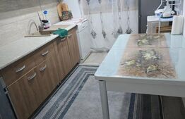 Casă de vânzare, 256 mp desfășurați, teren 1.000 mp - Bistrița Bârgăului