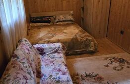 Casă de vânzare, 256 mp desfășurați, teren 1.000 mp - Bistrița Bârgăului