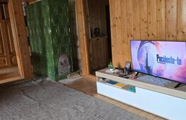 Casă de vânzare, 256 mp desfășurați, teren 1.000 mp - Bistrița Bârgăului