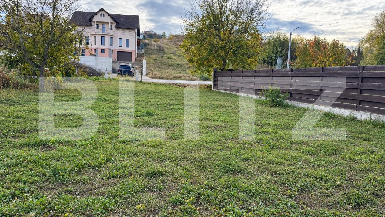 Teren de vânzare Sud-Vest - 209776TV | BLITZ Bistriţa | Poza3