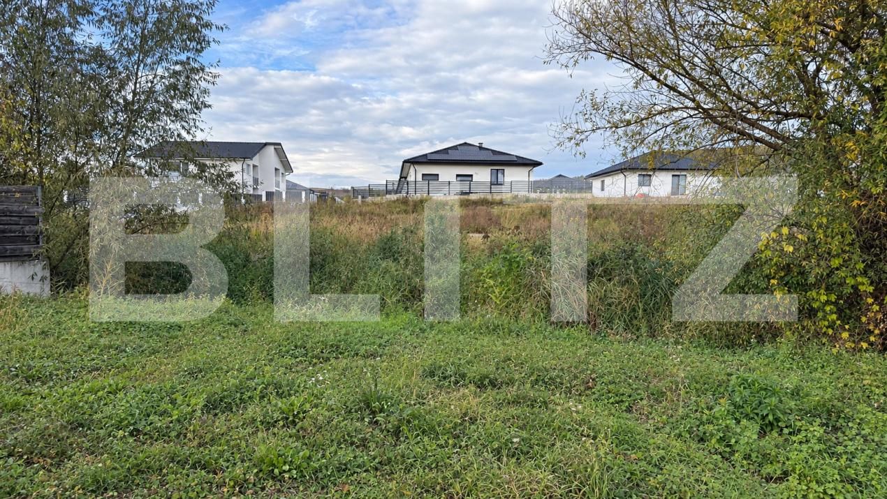 Teren de vânzare Sud-Vest - 209776TV | BLITZ Bistriţa | Poza4