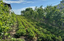  Casa individuala moderna, teren 2960 mp, zona Dorohoi