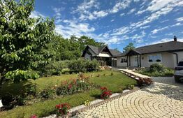  Casa individuala moderna, teren 2960 mp, zona Dorohoi