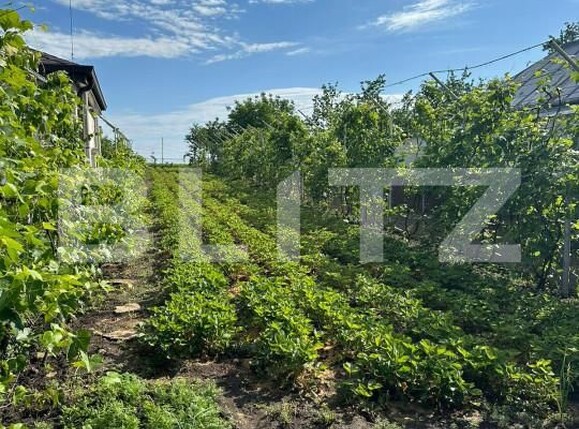 Casa de vânzare 4 camere Dorohoi - 152279CV | BLITZ Botoșani | Poza9