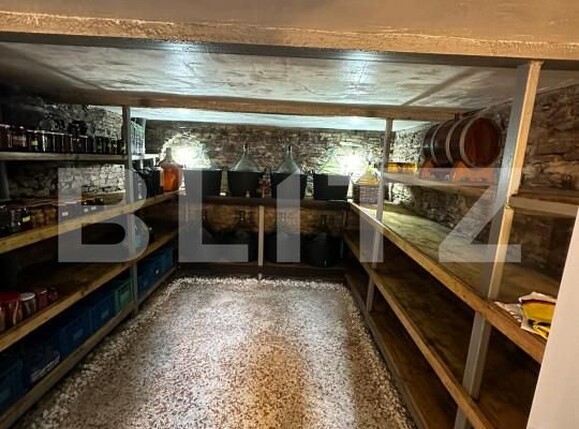 Casa de vânzare 4 camere Dorohoi - 152279CV | BLITZ Botoșani | Poza7