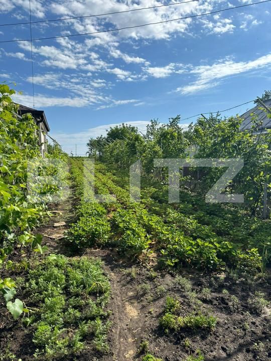 Casa de vânzare 4 camere Dorohoi - 152279CV | BLITZ Botoșani | Poza9