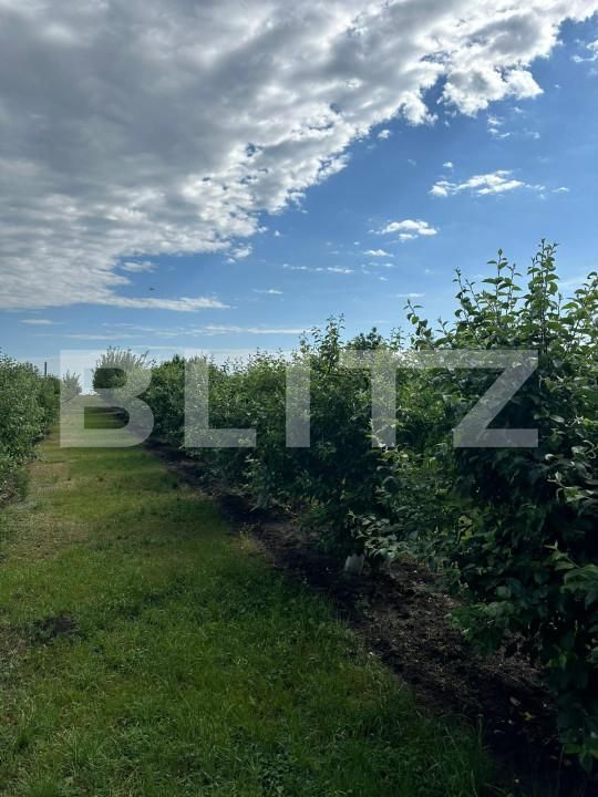 Casa de vânzare 4 camere Dorohoi - 152279CV | BLITZ Botoșani | Poza10