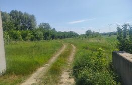 Teren  extravilan 4650 mp. Dorohoi