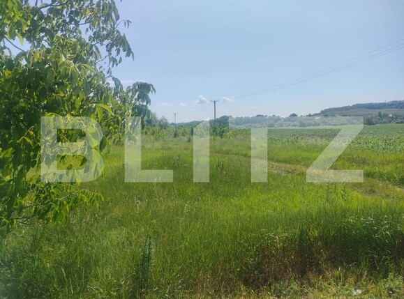 Teren de vânzare Dorohoi - 152722TV | BLITZ Botoșani | Poza2