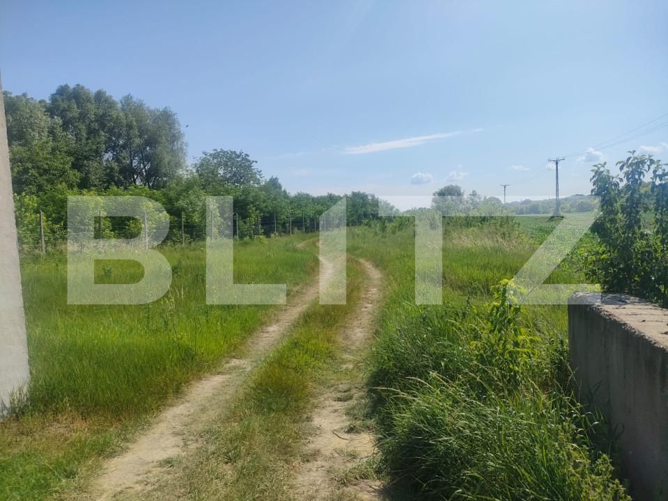 Teren de vânzare Dorohoi - 152722TV | BLITZ Botoșani | Poza4
