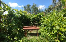 Casa individuala Catamarasti Deal, 7 camere, livada pe rod, 992mp!