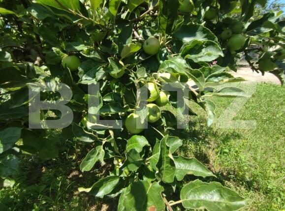 Casa de vânzare 8 camere Catamaresti-Deal - 153258CV | BLITZ Botoșani | Poza13