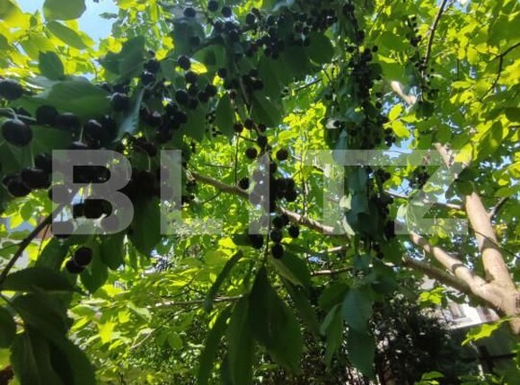 Casa de vânzare 8 camere Catamaresti-Deal - 153258CV | BLITZ Botoșani | Poza6