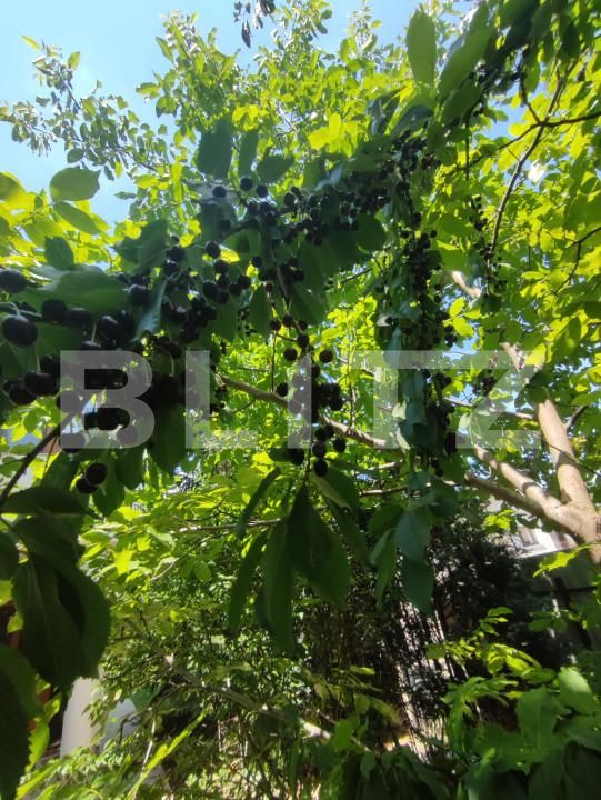 Casa de vânzare 8 camere Catamaresti-Deal - 153258CV | BLITZ Botoșani | Poza6