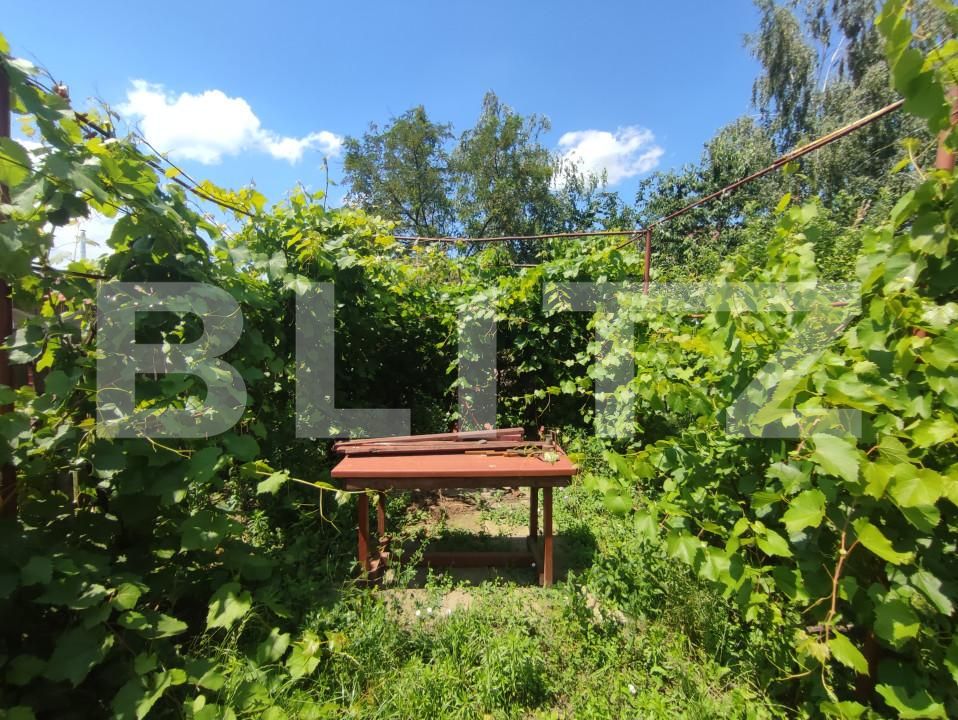 Casa de vânzare 8 camere Catamaresti-Deal - 153258CV | BLITZ Botoșani | Poza12