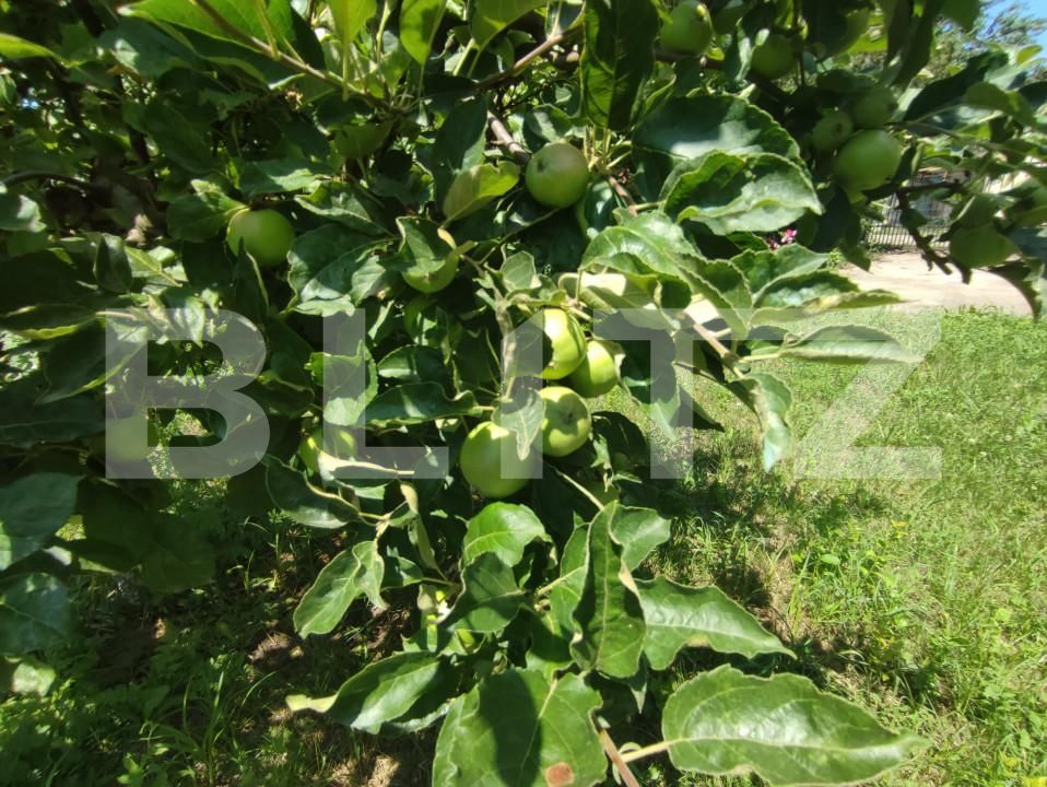 Casa de vânzare 8 camere Catamaresti-Deal - 153258CV | BLITZ Botoșani | Poza13