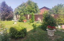 Casa 5 camere, 423 mp, Dorohoi