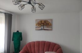 Casa 5 camere, 423 mp, Dorohoi