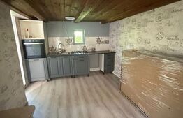 Casa individuala, 260mp ,zona Cucorani ,Botosani