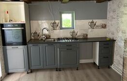 Casa individuala, 260mp ,zona Cucorani ,Botosani