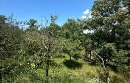 Casa individuala, 260mp ,zona Cucorani ,Botosani