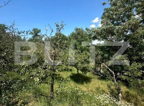 Casa de vânzare 6 camere Cucorani - 153962CV | BLITZ Botoșani | Poza14