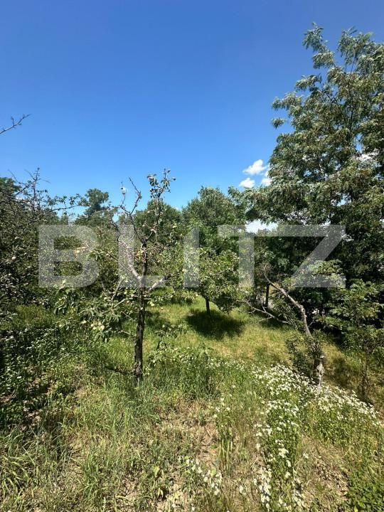 Casa de vânzare 6 camere Cucorani - 153962CV | BLITZ Botoșani | Poza14