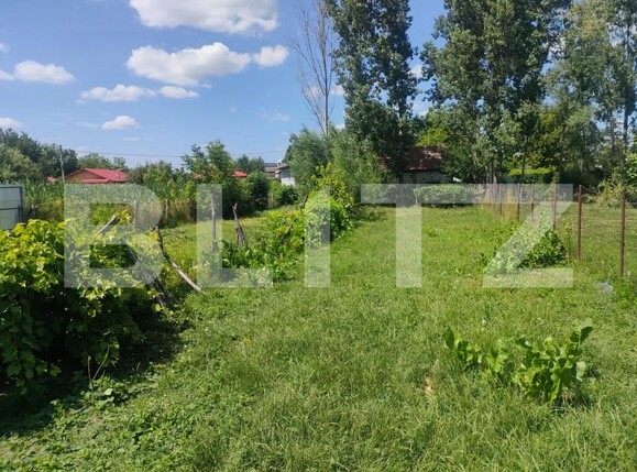 Casa de vânzare 4 camere Dorohoi - 154302CV | BLITZ Botoșani | Poza3