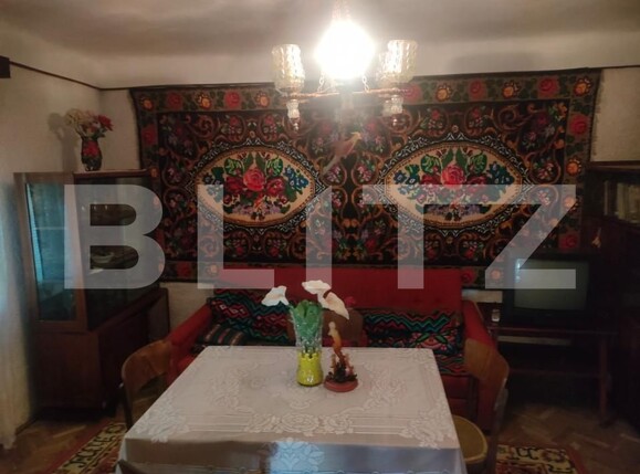Casa de vânzare 4 camere Dorohoi - 154302CV | BLITZ Botoșani | Poza10