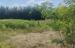 Teren intravilan, 2693 mp, Trestiana, Dorohoi