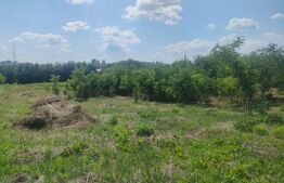 Teren intravilan, 2693 mp, Trestiana, Dorohoi