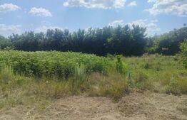 Teren intravilan, 2693 mp, Trestiana, Dorohoi