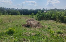 Teren intravilan, 2693 mp, Trestiana, Dorohoi