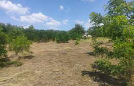 Teren intravilan, 2693 mp, Trestiana, Dorohoi