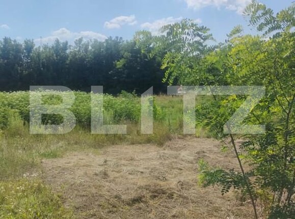 Teren de vânzare Dorohoi - 154537TV | BLITZ Botoșani | Poza3
