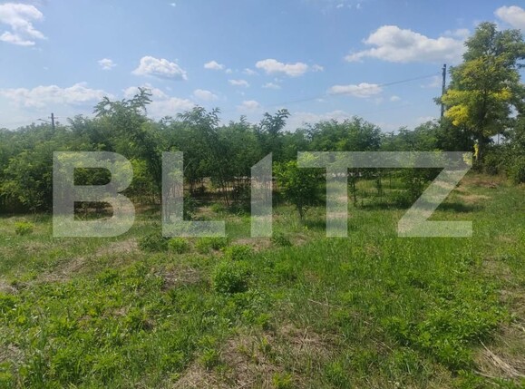 Teren de vânzare Dorohoi - 154537TV | BLITZ Botoșani | Poza5