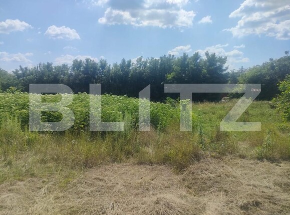 Teren de vânzare Dorohoi - 154537TV | BLITZ Botoșani | Poza6