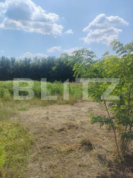 Teren de vânzare Dorohoi - 154537TV | BLITZ Botoșani | Poza3