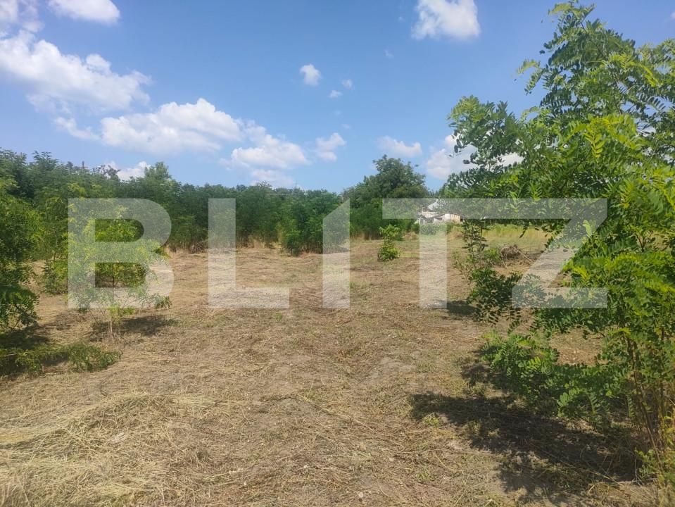 Teren de vânzare Dorohoi - 154537TV | BLITZ Botoșani | Poza2