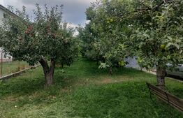 Casa cu 4 camere, 110mp, centru Mihaileni