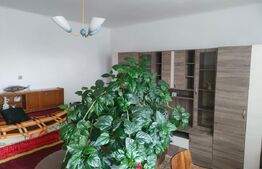 Casa cu 4 camere, 110mp, centru Mihaileni